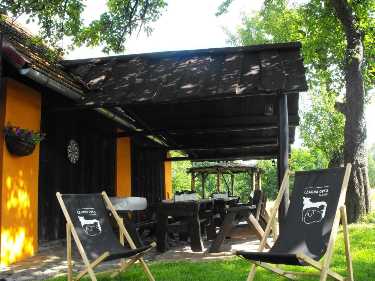 Agroturystyka Zacisze Czarna Owca Brzezanka Exterior foto
